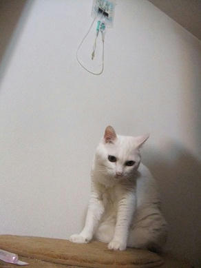 DSCF7097.JPG