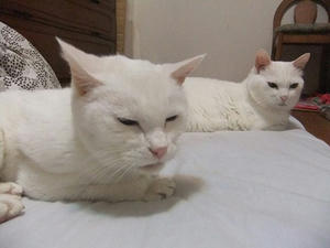 DSCF7104-1.jpg