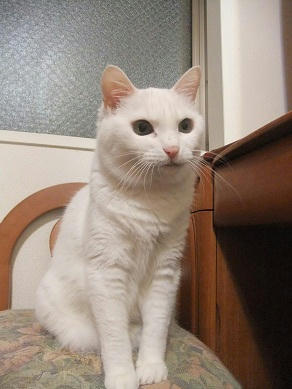 DSCF6782.JPG