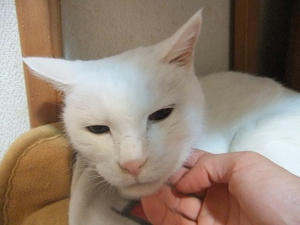 DSCF7039.JPG