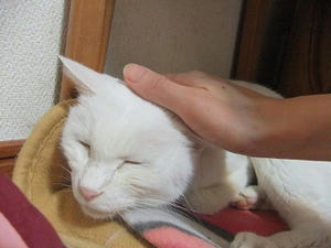 DSCF7036.JPG