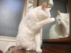 DSCF7056.JPG