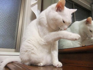 DSCF7055.JPG