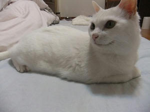 DSCF7083.JPG