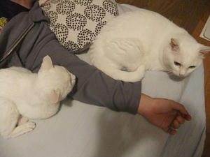 DSCF7023.JPG