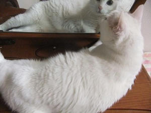 DSCF7045.JPG