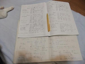 DSCF7088.JPG