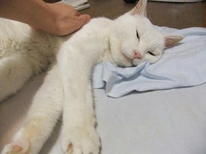 DSCF7085.JPG