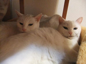 DSCF6763-1.jpg