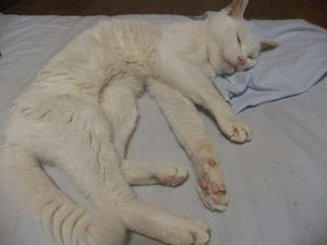 DSCF7084.JPG