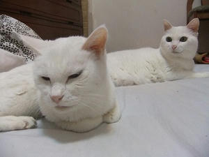 DSCF7111.JPG
