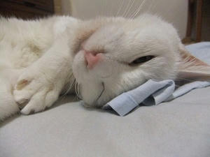 DSCF7089.JPG