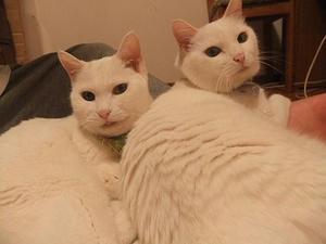 DSCF5754-1.jpg