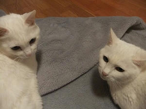 DSCF5026.JPG