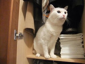 DSCF7170.JPG