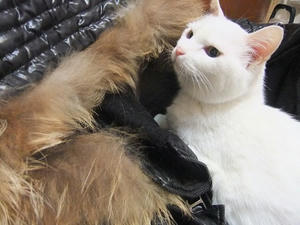 DSCF7188.JPG