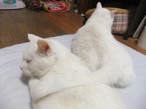 DSCF7148.JPG