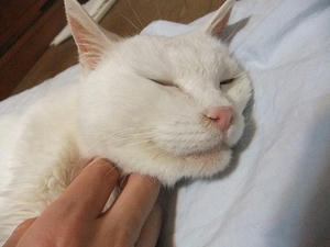 DSCF7086-1.jpg