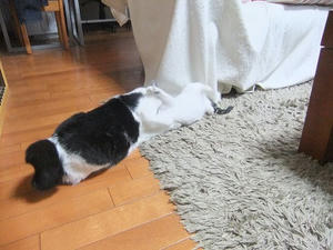 DSCF7335.JPG