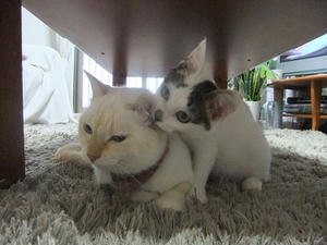 DSCF7326.JPG