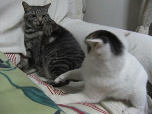 DSCF7319.JPG