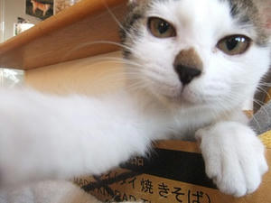 DSCF7295-1.jpg