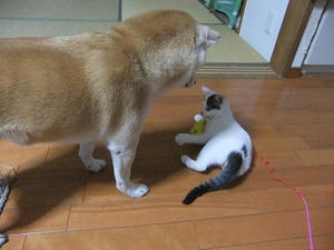DSCF7280.JPG