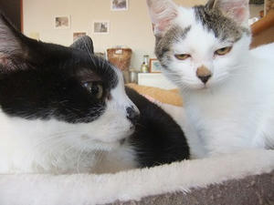 DSCF7299.JPG