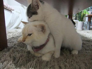 DSCF7323.JPG