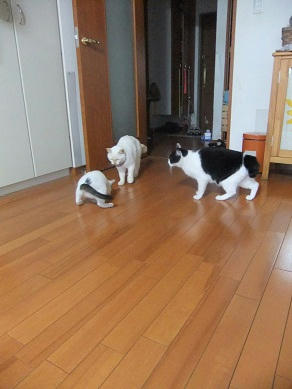 DSCF7339.JPG
