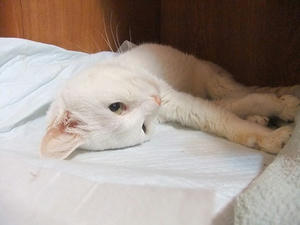 DSCF7373.JPG