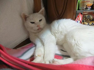 DSCF7179.JPG