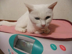 DSCF7131.JPG