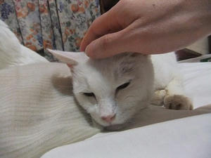 DSCF7403.JPG