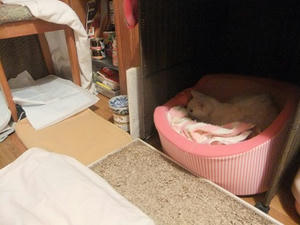 DSCF7284.JPG