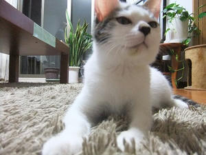 DSCF7274.JPG