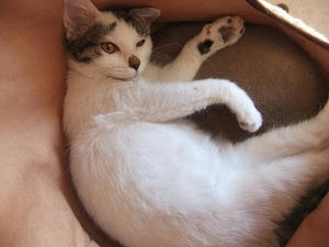 DSCF7270.JPG