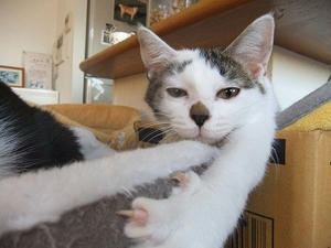 DSCF7294.JPG