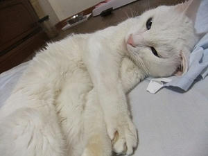 DSCF7091.JPG