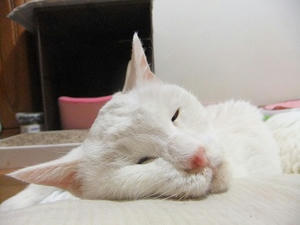 DSCF7422.JPG