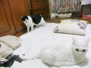 DSCF7224.JPG