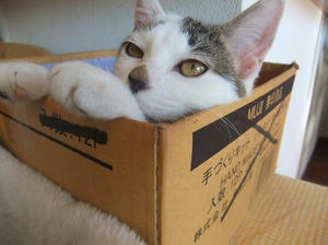 DSCF7380.JPG