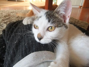 DSCF7351.JPG