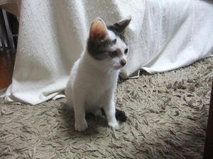 DSCF7337.JPG