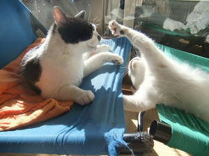 DSCF7473.JPG