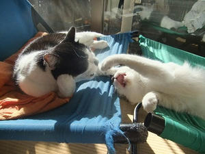 DSCF7471.JPG