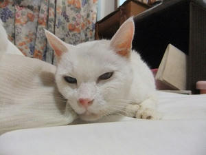 DSCF7402.JPG