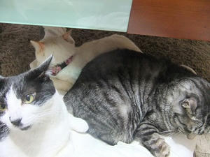 DSCF7177.JPG