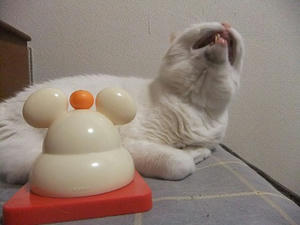 DSCF7537.JPG