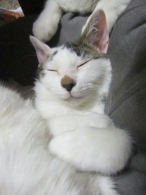 DSCF7459.JPG
